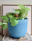 Blue Suede Concrete Planter