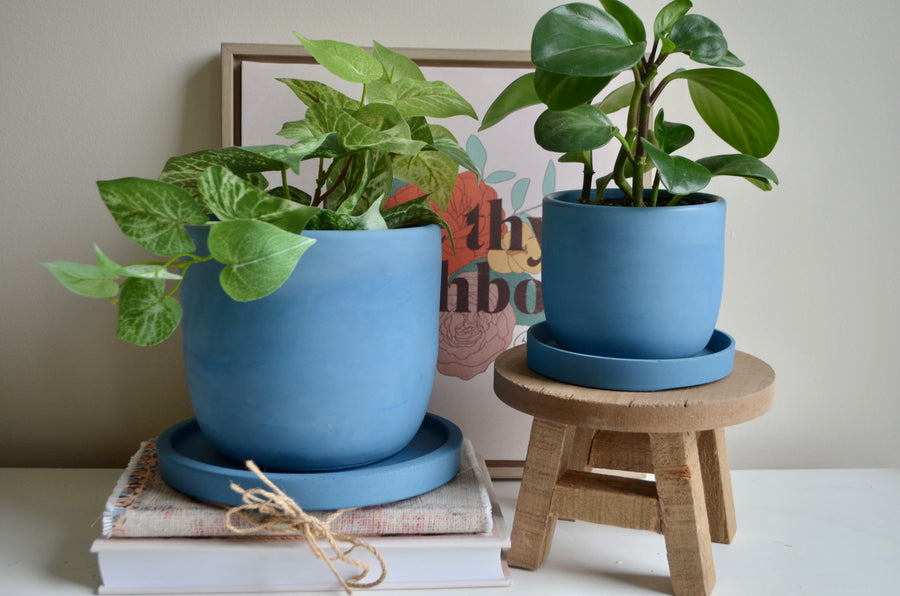 Blue Suede Concrete Planter