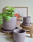 Purple Plum Concrete Planter