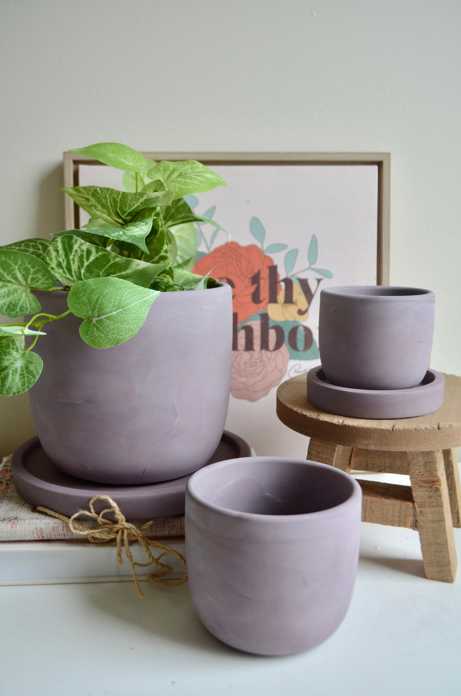 Purple Plum Concrete Planter