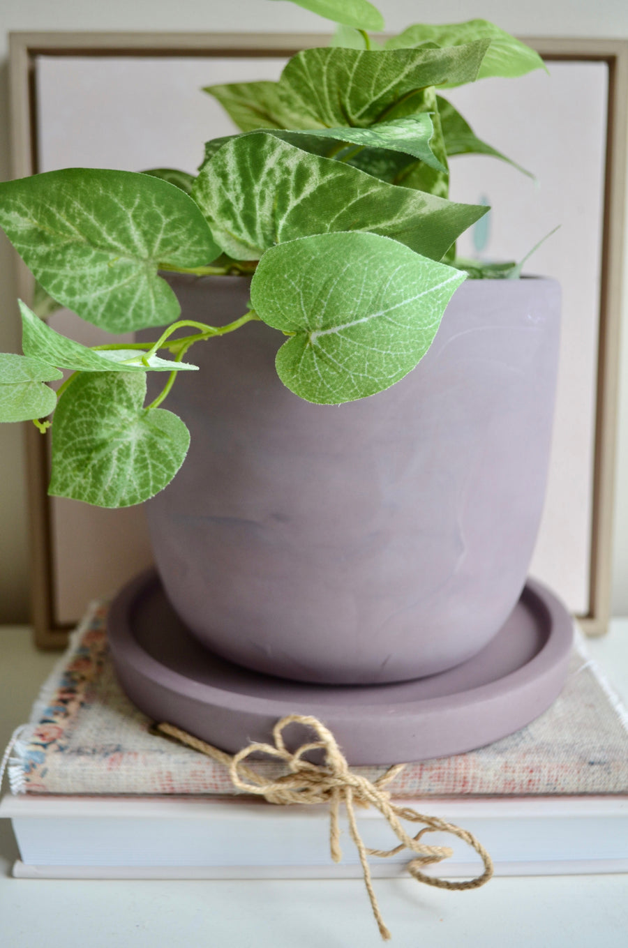 Purple Plum Concrete Planter