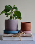 Purple Plum Concrete Planter