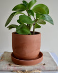 Terracotta Concrete Planter