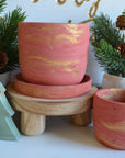 Holiday Red Planter