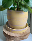 Pink & Yellow Swirl Planter