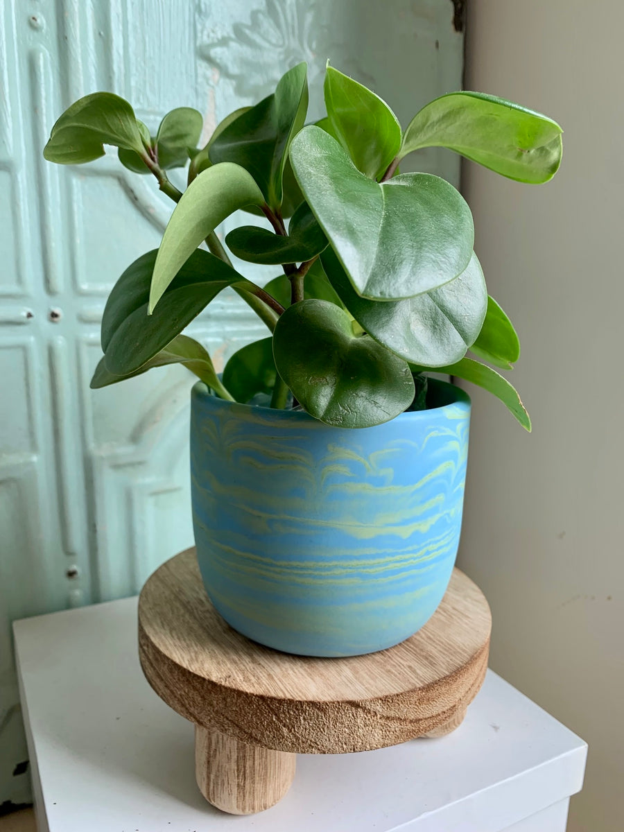 Blue & Green Swirl Planter