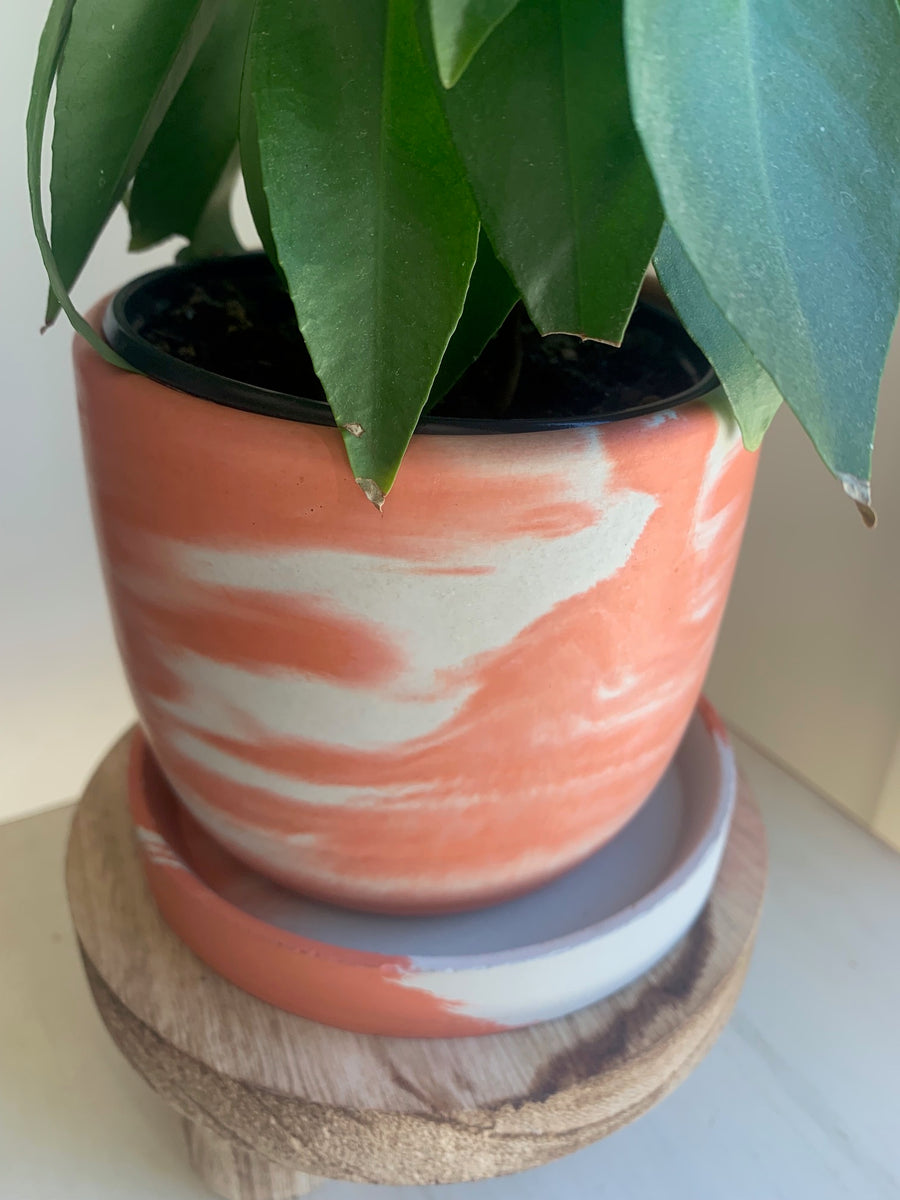 Orange Swirl