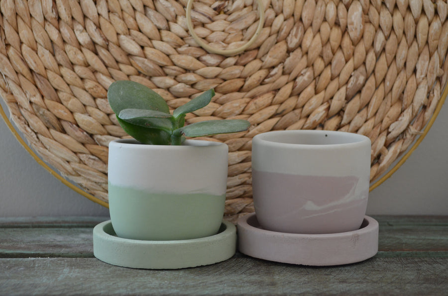 Small Planter Trays