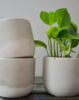 White Ceramic Plant Pot