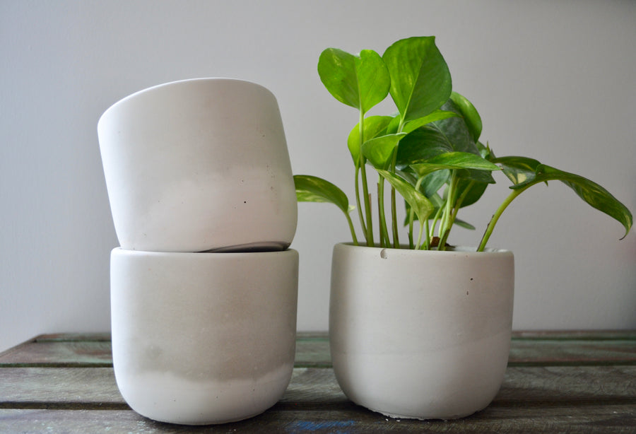 White Ceramic Plant Pot