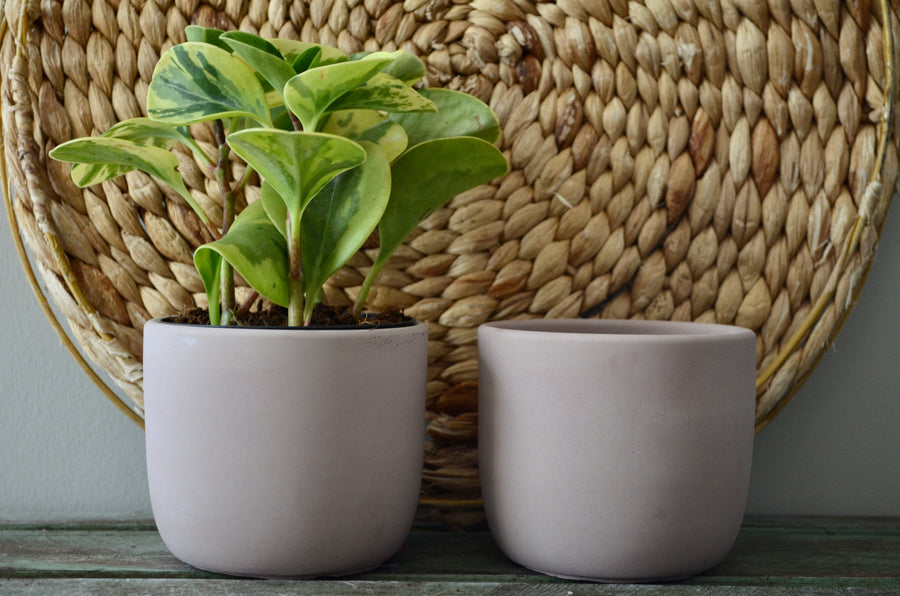 Pink Indoor Flower Pot with Drainage hole