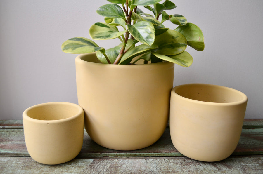 Yellow Concrete Planter