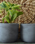 Dark Gray Concrete Planter