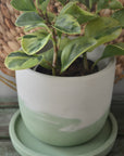 Green Ceramic Planter