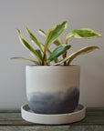 Stormy Skies Concrete Planter