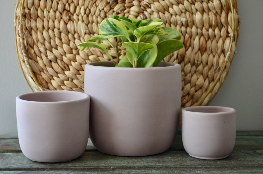 Pink Concrete Planter