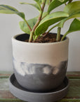 Stormy Skies Concrete Planter