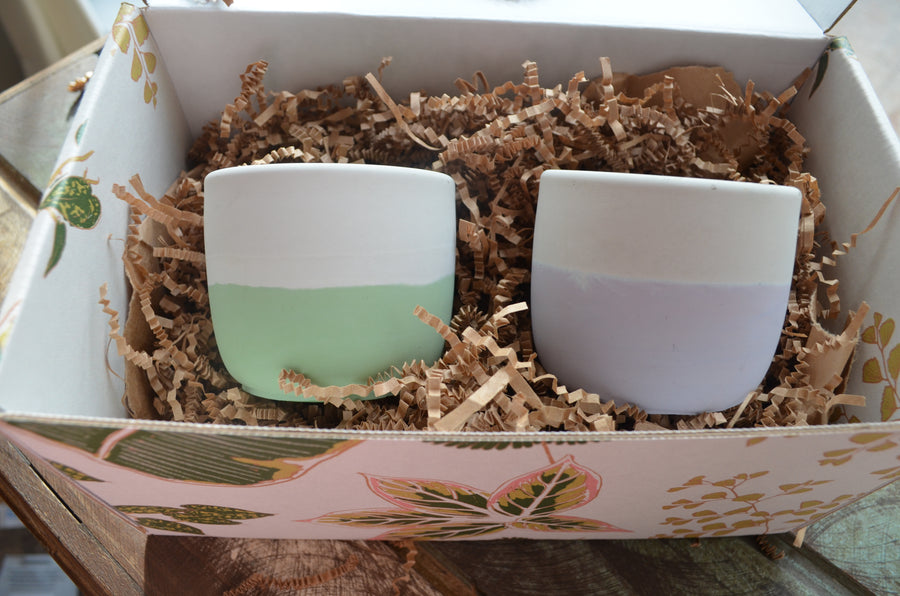 Planter Gift Box
