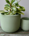 Green Plant Pot with Drainage hole