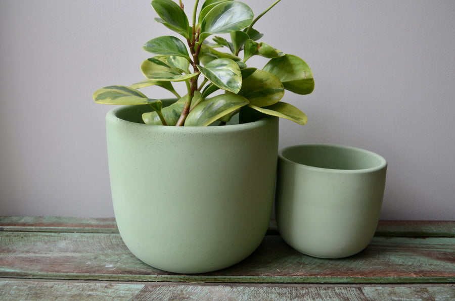 Green Plant Pot with Drainage hole