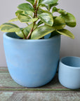 Blue Concrete Planter