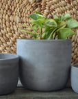 Dark Gray Plant Pot