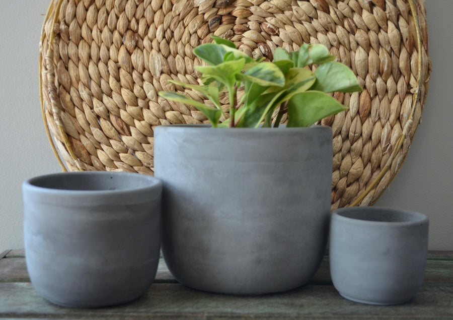 Dark Gray Plant Pot