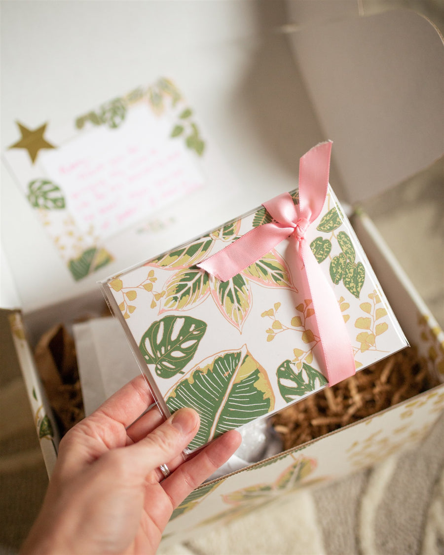 Starter Gift Box